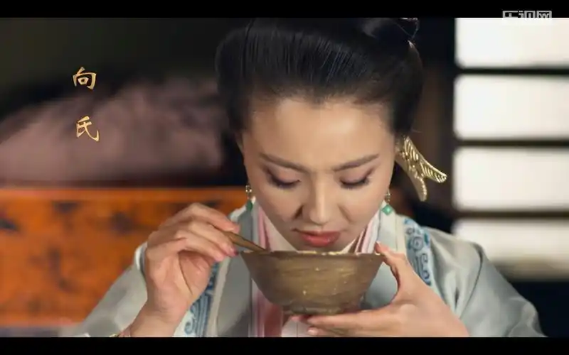 如何评价芈月传