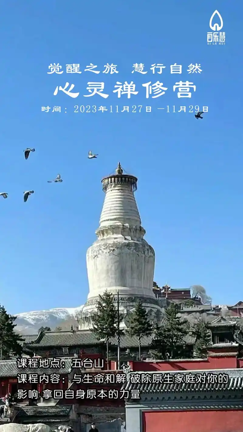 五台山觉醒之旅公益线下课报名中...