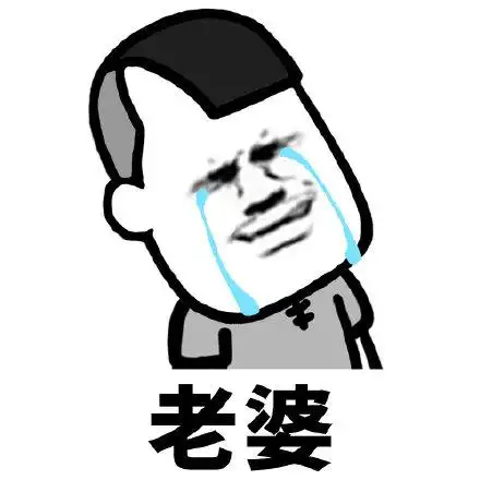 呼叫老婆(流泪) - 斗图表情包 - 爱逗图