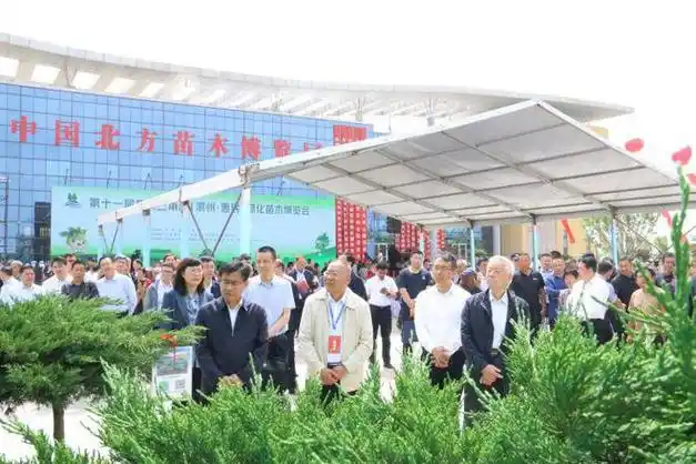 第十一届黄河三角洲(滨州·惠民)绿化苗木博览会举行