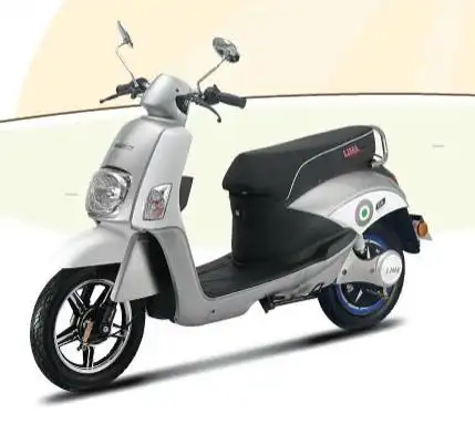 立马电动车劲尚神州马