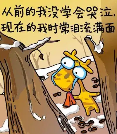 从前的我没学会哭泣,现在的我时常泪流满面