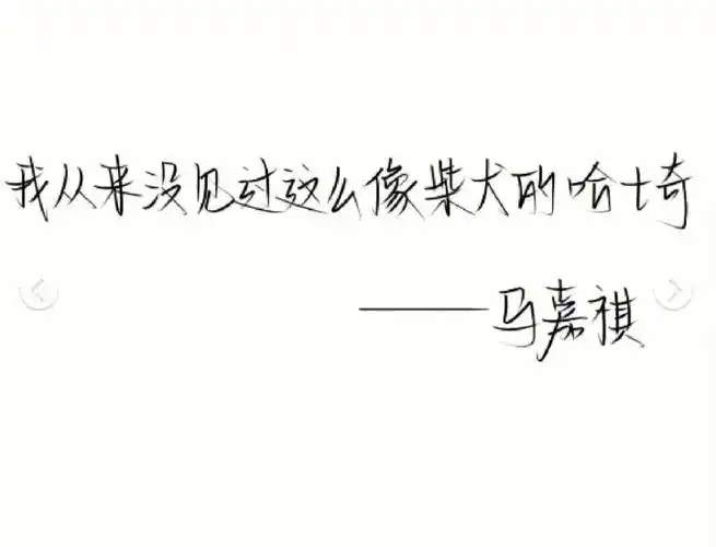 马嘉祺金句
