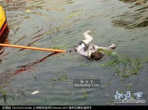 邯郸打捞溺死的短裤女尸