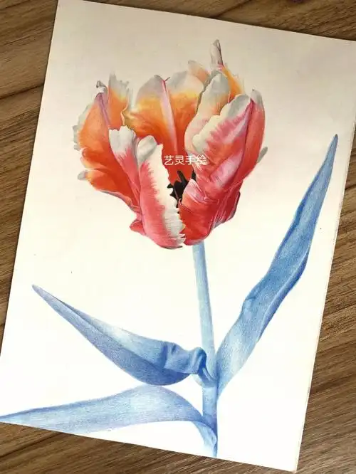 就不说什么手机了,第一张颜色最真实#画画  #一起学画画  #彩铅