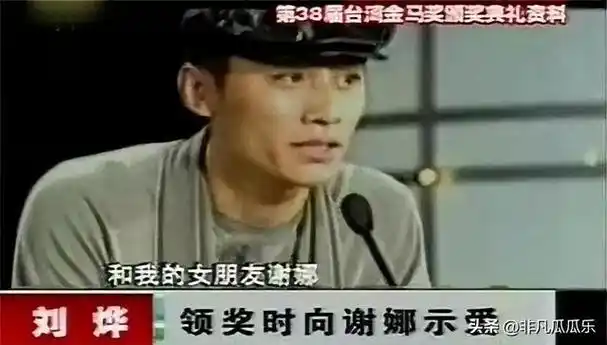 谢娜|何炅|胡军|赵丽颖|刘烨(演员)|金星(舞者)_网易订阅