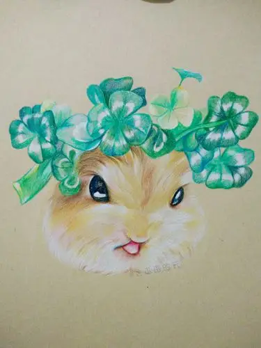 彩铅画一只可爱的金丝鼠