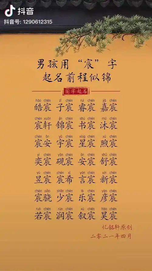 男孩取名带宸又好听寓意又好起名改名名字待产孕妇孕期