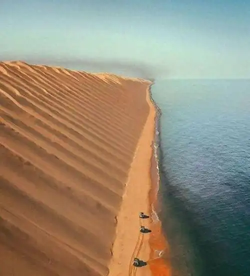 那些让人望而生畏的庞然巨物,巨物恐惧症患者表示根本接受不了|大海|