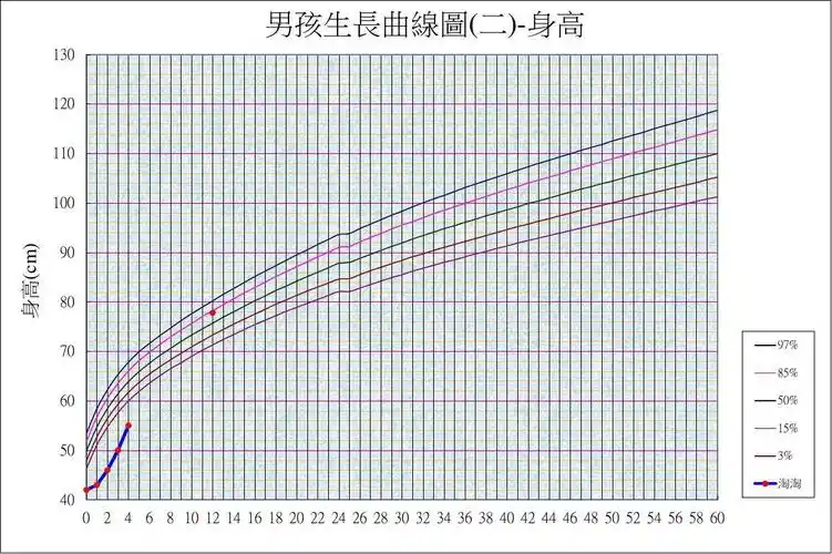 卫生组织公告之男孩生长曲线表睿睿20071028出生体重:4000公克身高:49