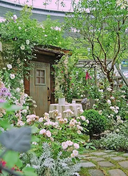 创意"私家庭院花园",属于自己的自然舒适阳光私人小花园!