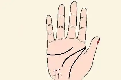 月丘上的纹路图解月丘有井字纹的手相