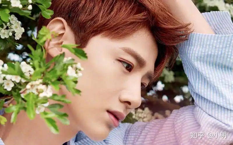 图集分享一组男明星刘昊然高清壁纸赶紧收藏吧