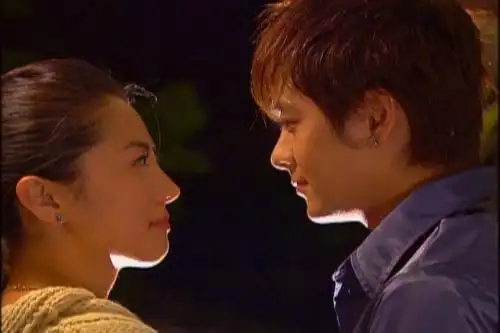 如何评价电视剧《放羊的星星》?