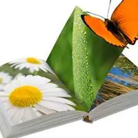 书本清新唯美意境头像图片书是智慧的钥匙书是人生的向导