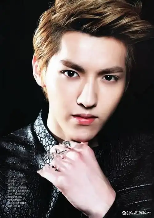 吴亦凡堕落警示录