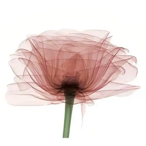 艺术感唯美意境头像