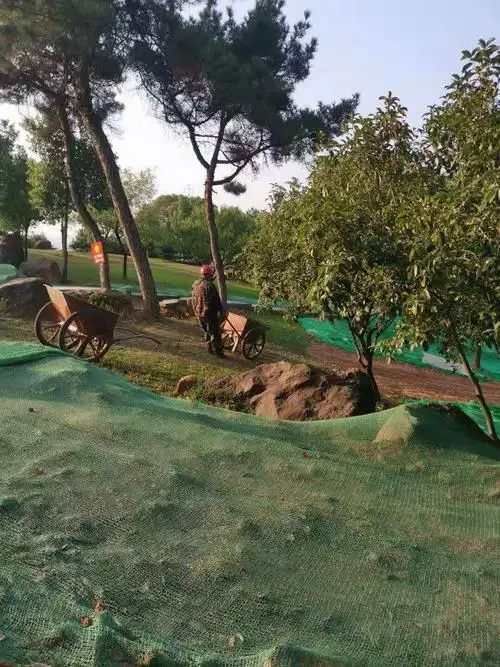 雨水花园底层碎石铺设完成(80平方)