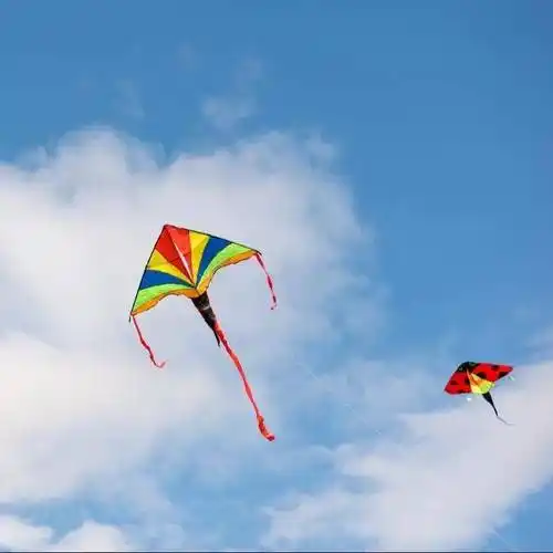 春分| 春来日渐暖,昼夜已均分_风筝_习俗_燕子