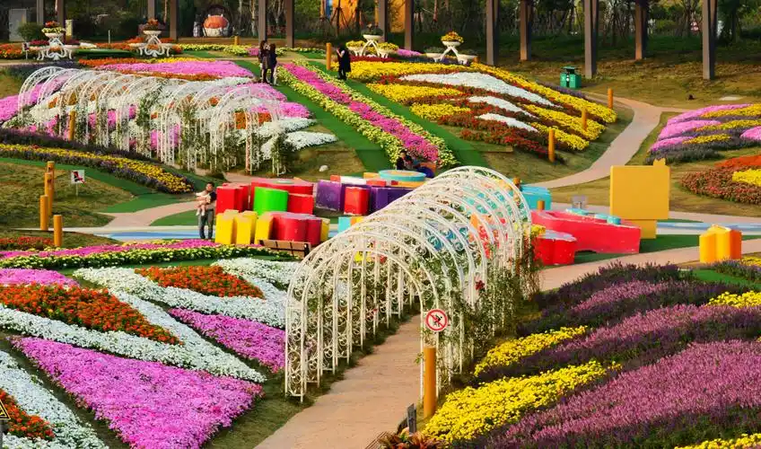 上海浦江郊野公园奇迹花园秋季(九九重阳)艺术花展