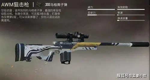 和平精英awm可以不拿但子弹必须带走到底有什么魅力