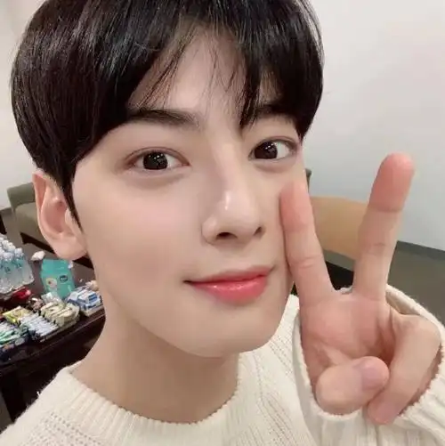 微信头像车银优