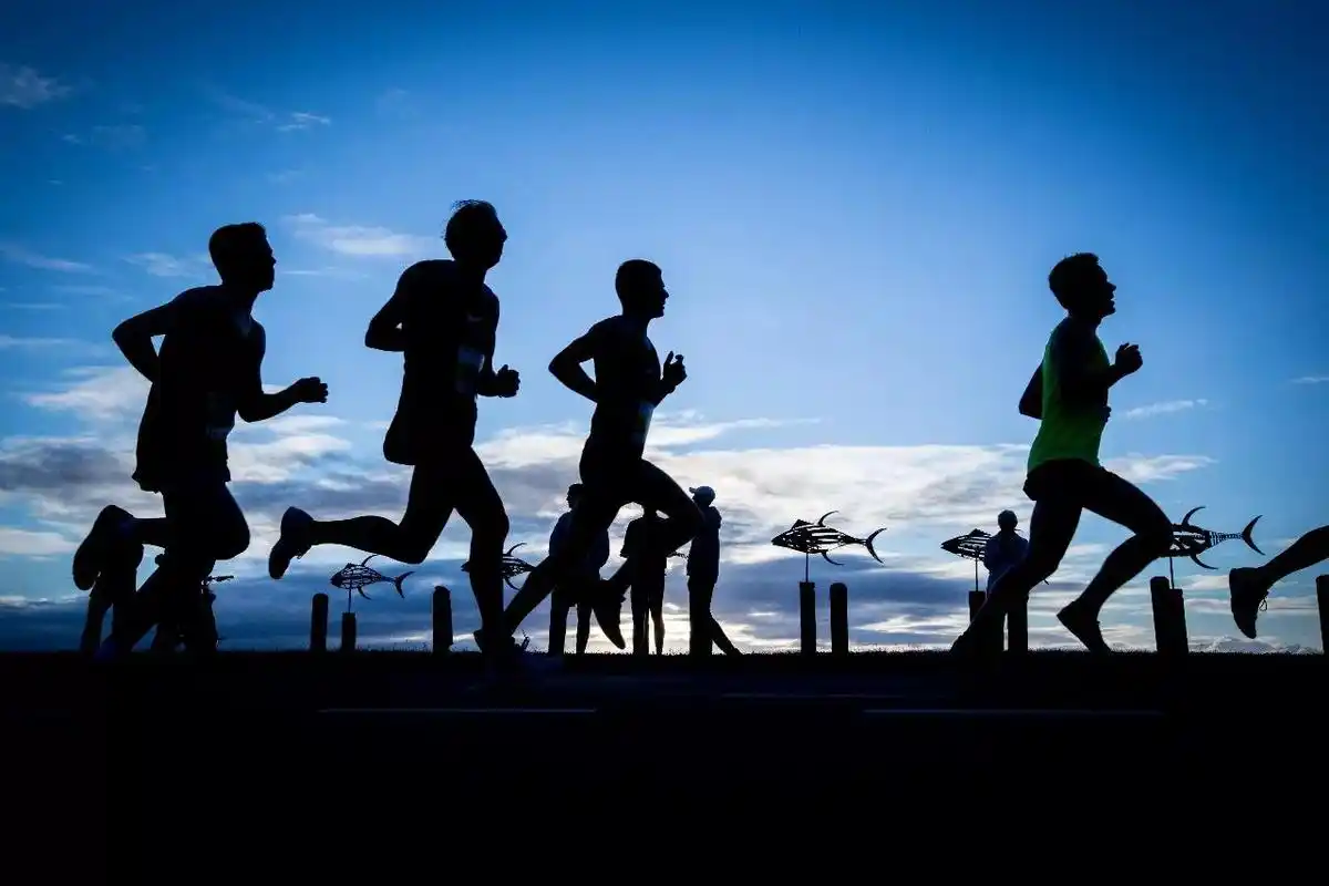 报名| 7月·黄金海岸马拉松:观鲸看海逗考拉,奔跑热辣南半球!