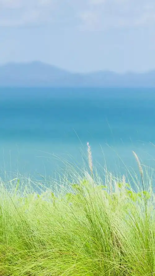 有什么保护眼睛的手机壁纸求推荐