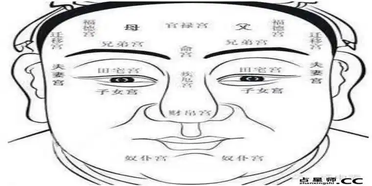 额头面相分析图解(额头面相分析图解大全) - 呈祥网,生辰八字算命