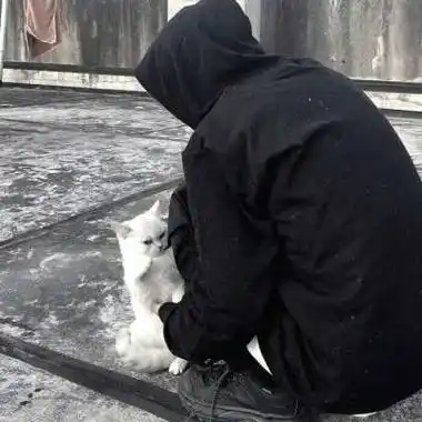 2022超高清头像男黑白孤独是人生的本质qq男生头像520