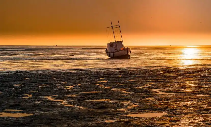 相关标签海边黄昏美景上一图集:阳光灿烂的向日葵下一图集:华为nova9