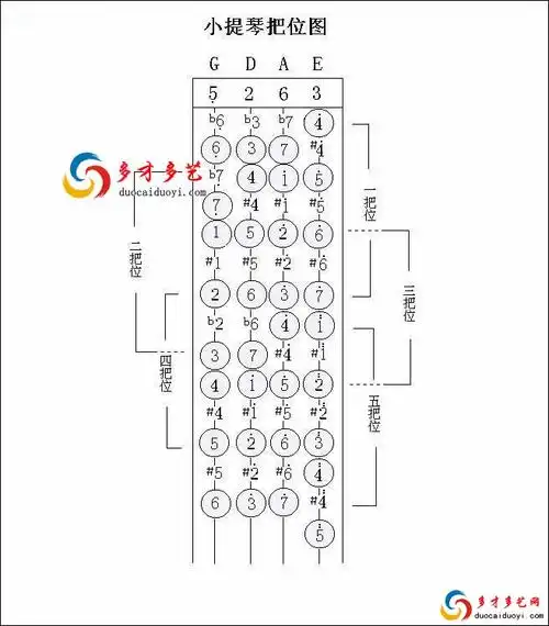 初学小提琴在哪里贴胶布