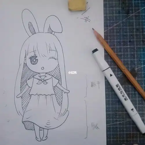 o基础q版漫画兔子女孩