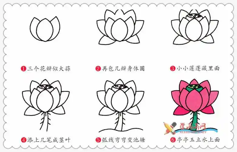 彩色荷花简笔画及步骤画法