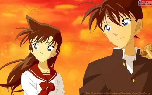 求一张1360x768尺寸的名侦探柯南新兰壁纸,或者是毛利兰单人的.