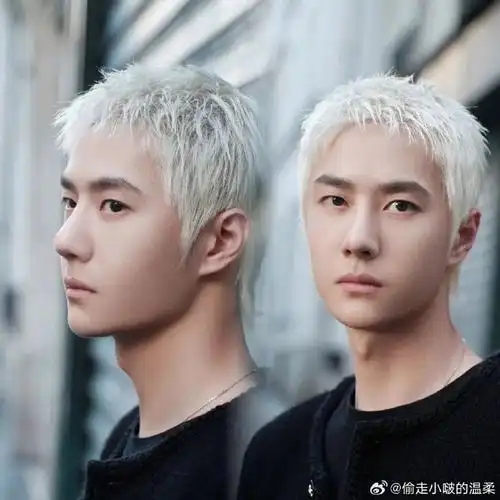 王一博新发色是冷白皮的天菜##王一博 香奈儿##建议王一博和白短发焊