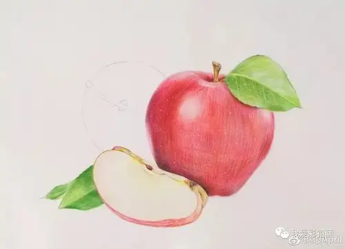 【彩铅教程】红彤彤的苹果_素描教程绘画学院_零二七艺考
