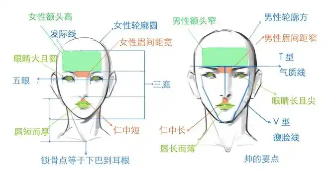 额头美学标准:什么样的额头才是好看的?