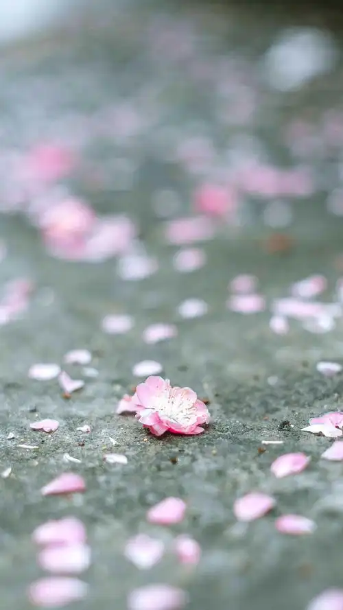 落红不是无情物,化作春泥更护花.