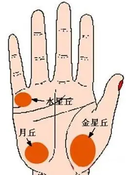 手相看最受欢迎的女性-手相图解-华易网