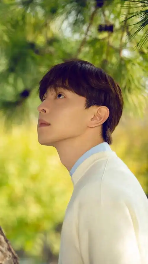 邓伦休闲清新迷人写真,图片大全,高清,图库-回车桌面