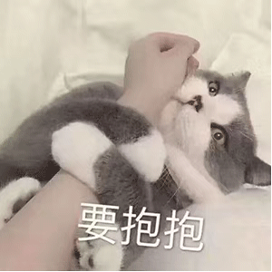 萌宠gif喵星人gif要抱抱gif撒娇gif呆萌gif可爱gif