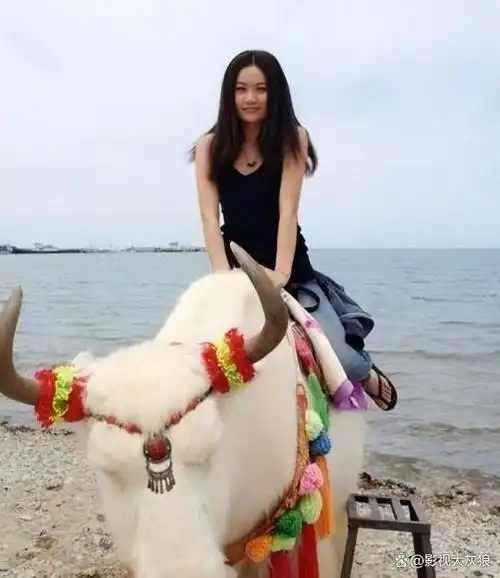 今天的她们拍出了国剧良心评分高达88说实在的真心不错