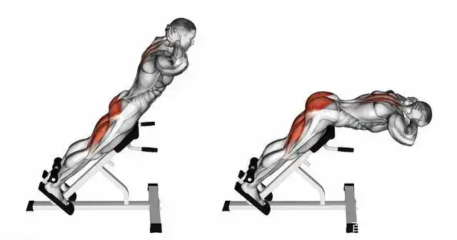 核心力量的训练方法:3个动作帮你强化核心肌群!