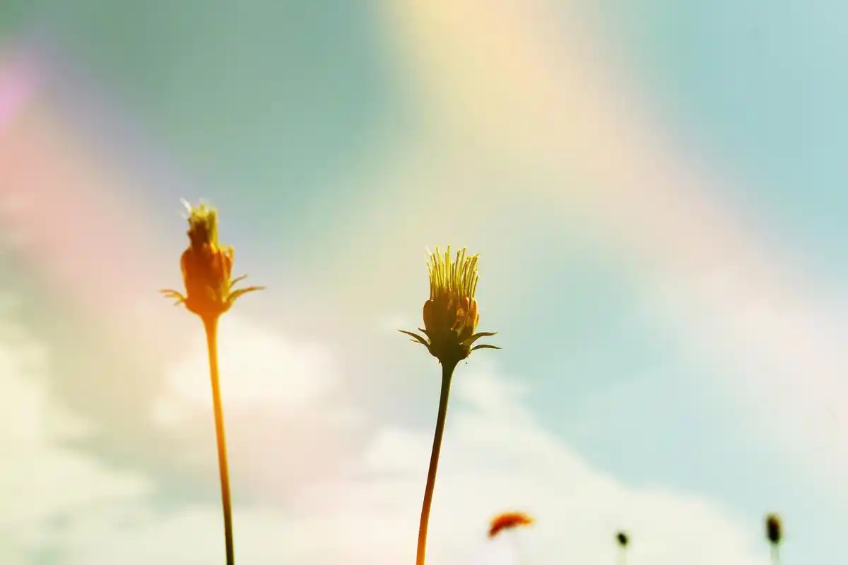 天生丽质的女孩性格通常较为积极向上  1. 天生丽质的女孩通常会在外