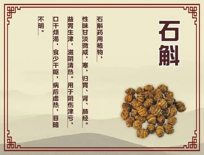 石斛的功效与作用