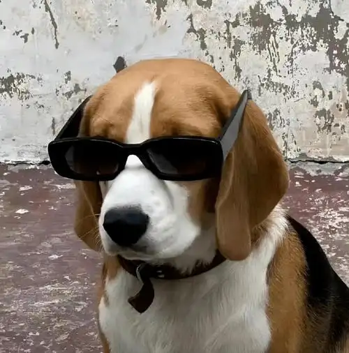 头像|有趣的男生头像_图文_网络综合_版权