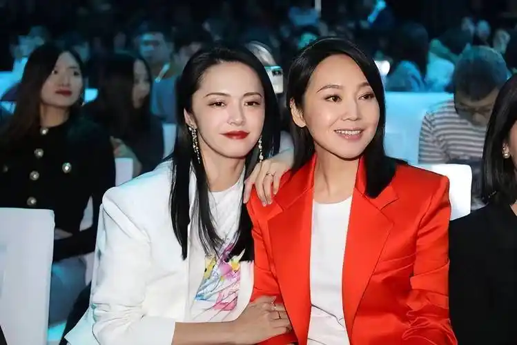 闫妮姚晨梦幻同框,同穿西装风格却不同,但明显姚晨略胜一筹_细节_颜色