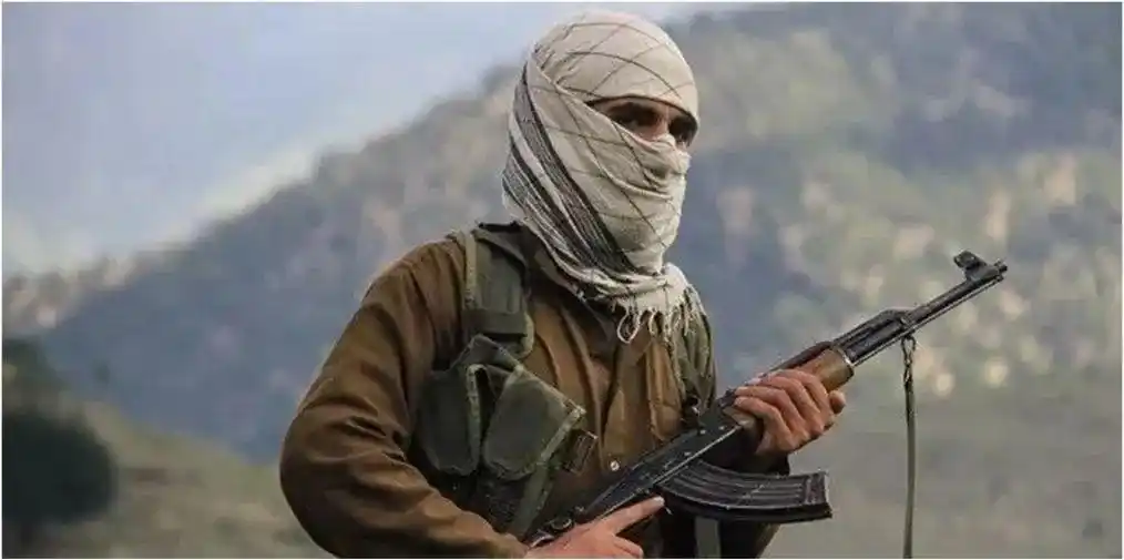 阿政府被迫释放五千恐怖分子,全是百战老兵,了解一下|阿富汗|塔利班