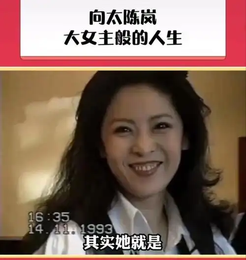 向太陈岚年轻时很飒